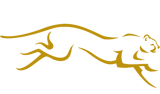 lows logo